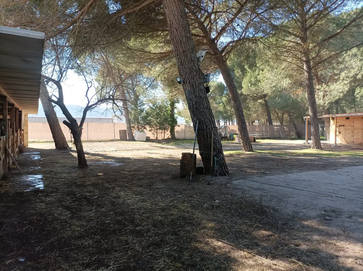 Garden of Houses for sale in Traspinedo  with Heating, Private garden and Terrace