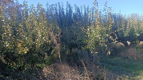 Photo 2 of Country house for sale in Diseminado Diseminados, Ibeas de Juarros, Burgos