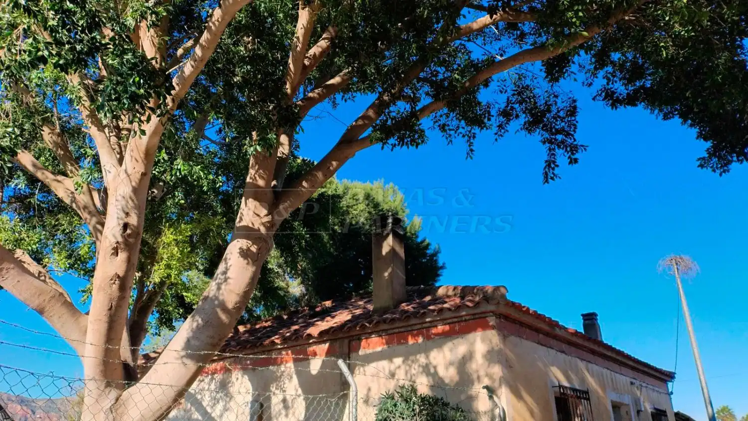 Vista exterior de Finca rústica en venta en Orihuela con Piscina
