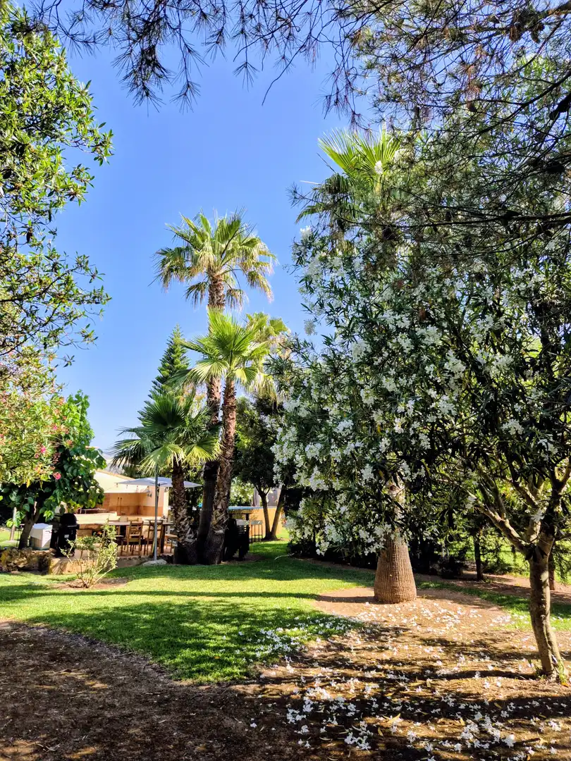 Jardín de Casa o chalet de alquiler en Sa Pobla con Calefacción, Jardín privado y Terraza