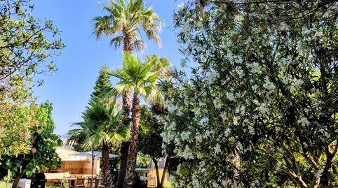 Photo 2 of Houses for rent in Pobla Sa - Ronda Sud, Sa Pobla, Illes Balears