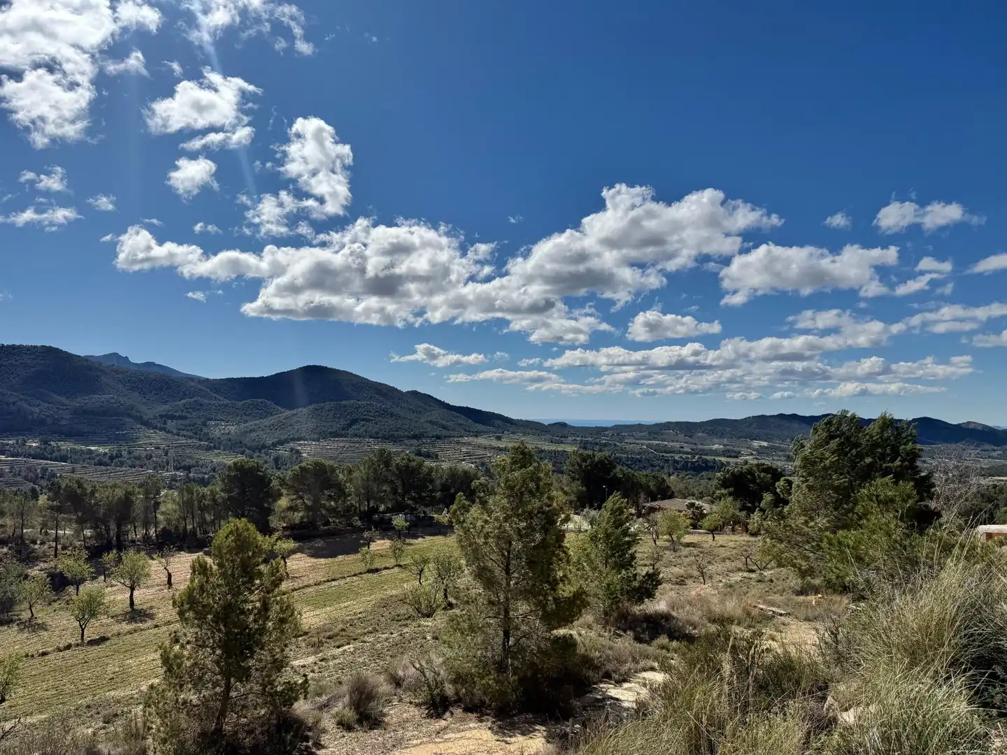 Casa o chalet en venta en Polígono 4 Paraje 139 LENTISCAR, 36, Jijona / Xixona