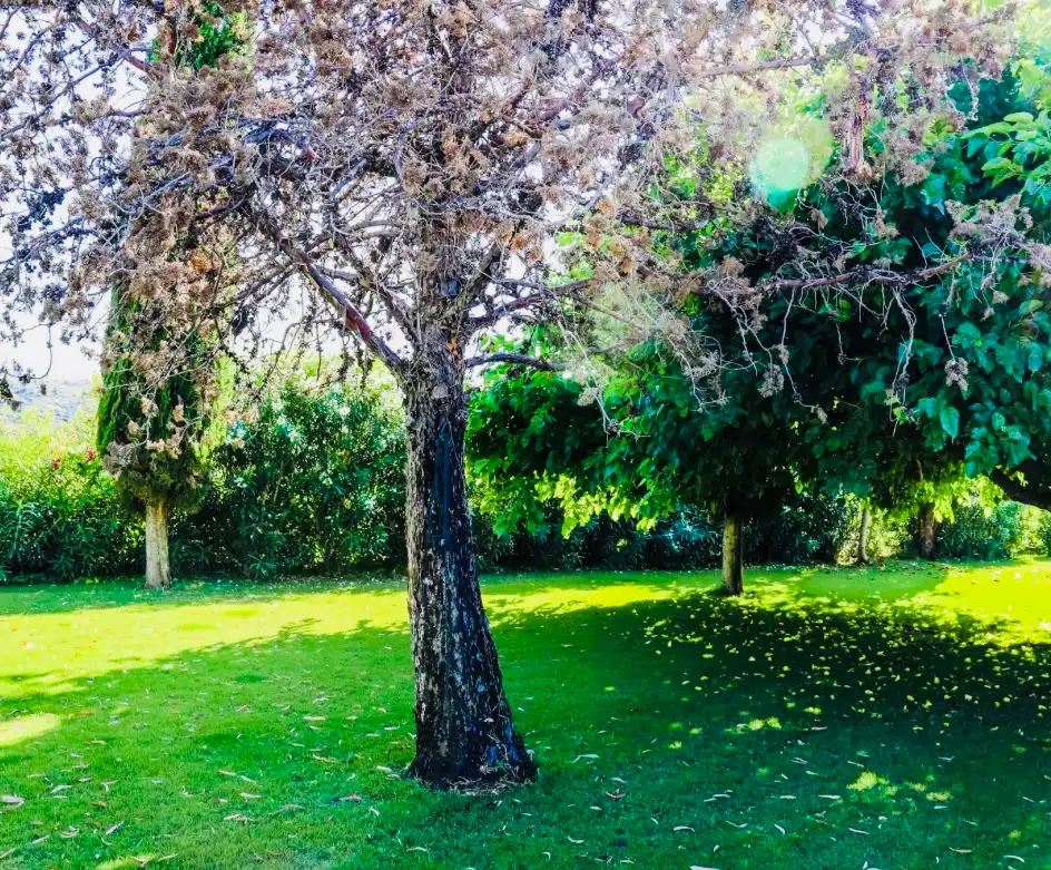 Garden of Houses for sale in Dénia  with Air Conditioner, Heating and Private garden