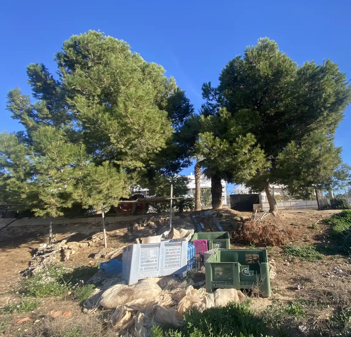 Finca rústica en venda en Torre-Pacheco amb Terrassa, Piscina i Moblat