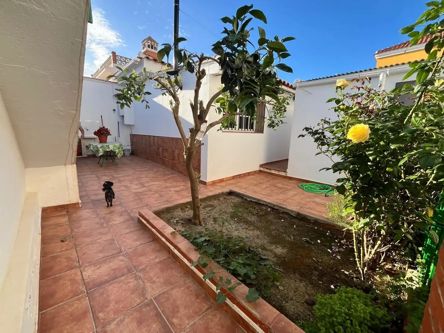 Garden of Detached homes for sale in Málaga  with Private garden, Terrace and Storage room