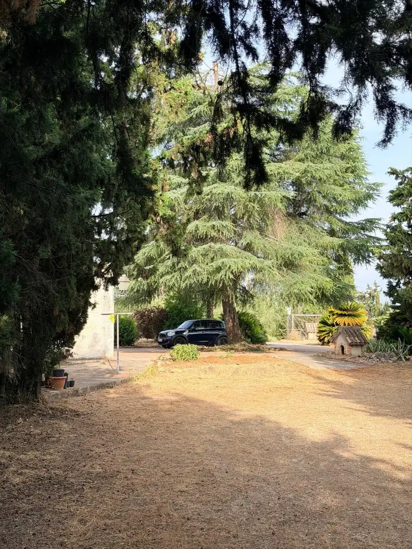 Villa avec piscine à vendre à Albaida, imagen 70