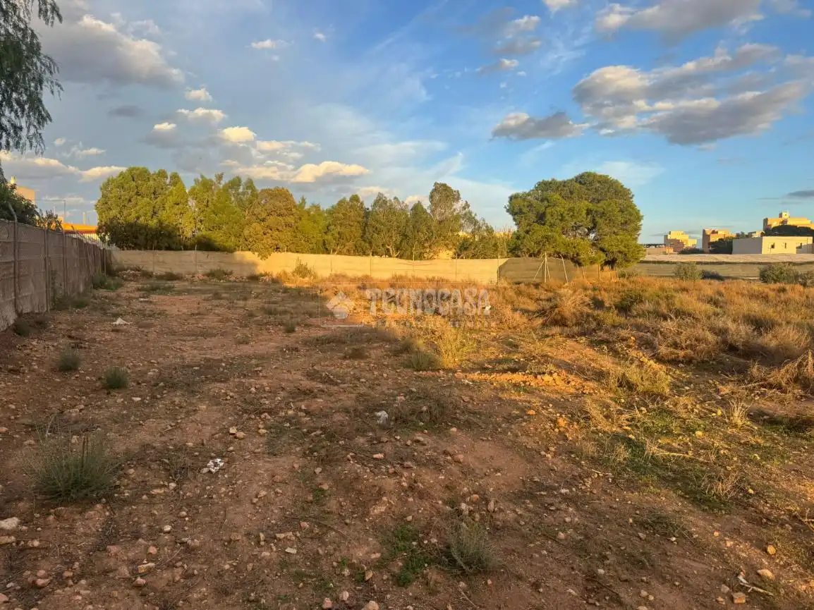 Terreno rústico en venta en Roquetas de Mar ciudad, imagen 3