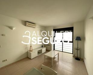 Living room of Flat to rent in  Madrid Capital  with Air Conditioner, Heating and Furnished