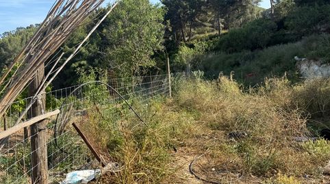 Foto 3 de Finca rústica en venta en Garraf, Sitges