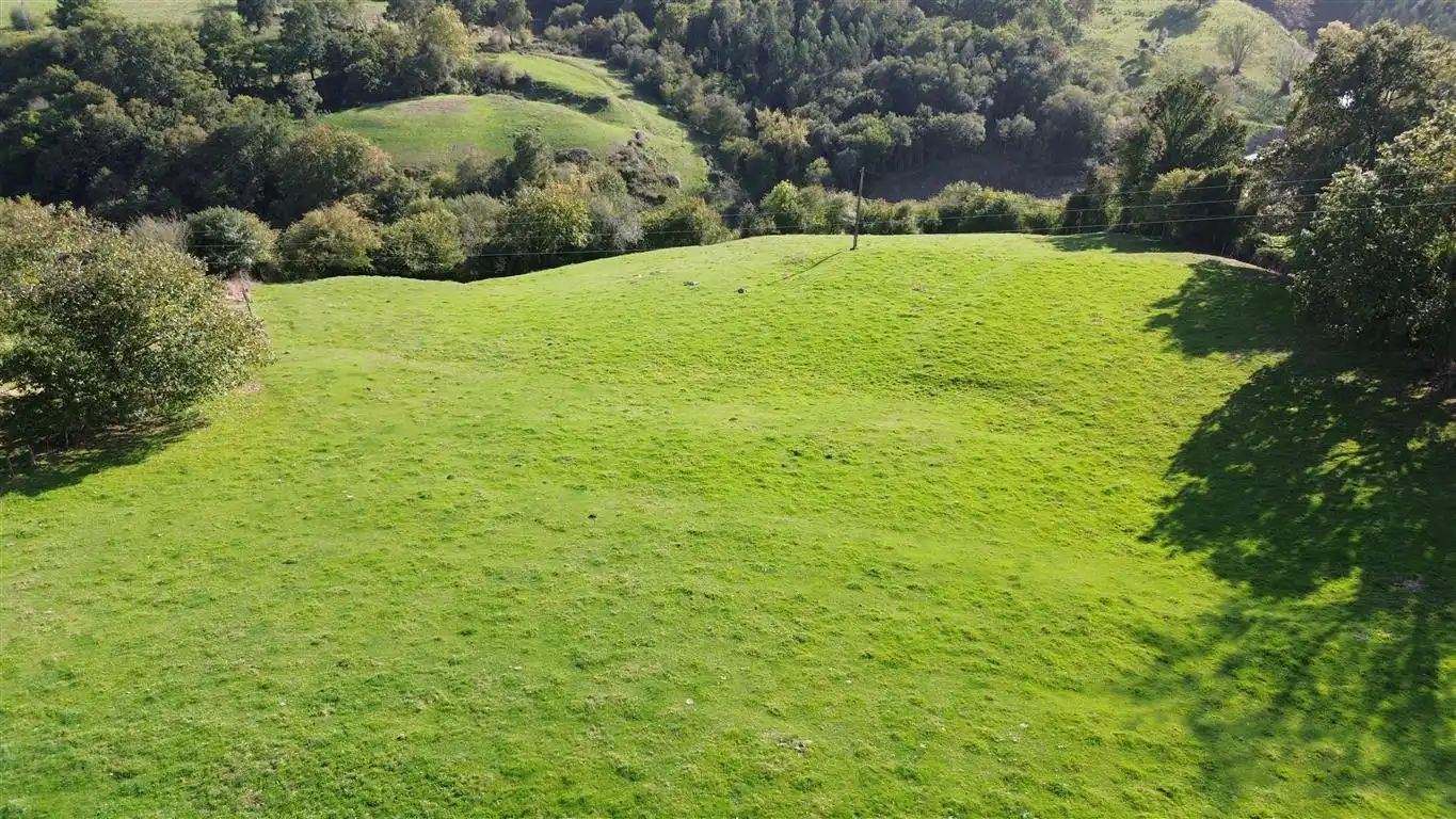 Terreni e lotti in vendita a N/A