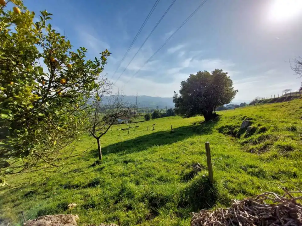 Casa o chalet en venta en Llanera