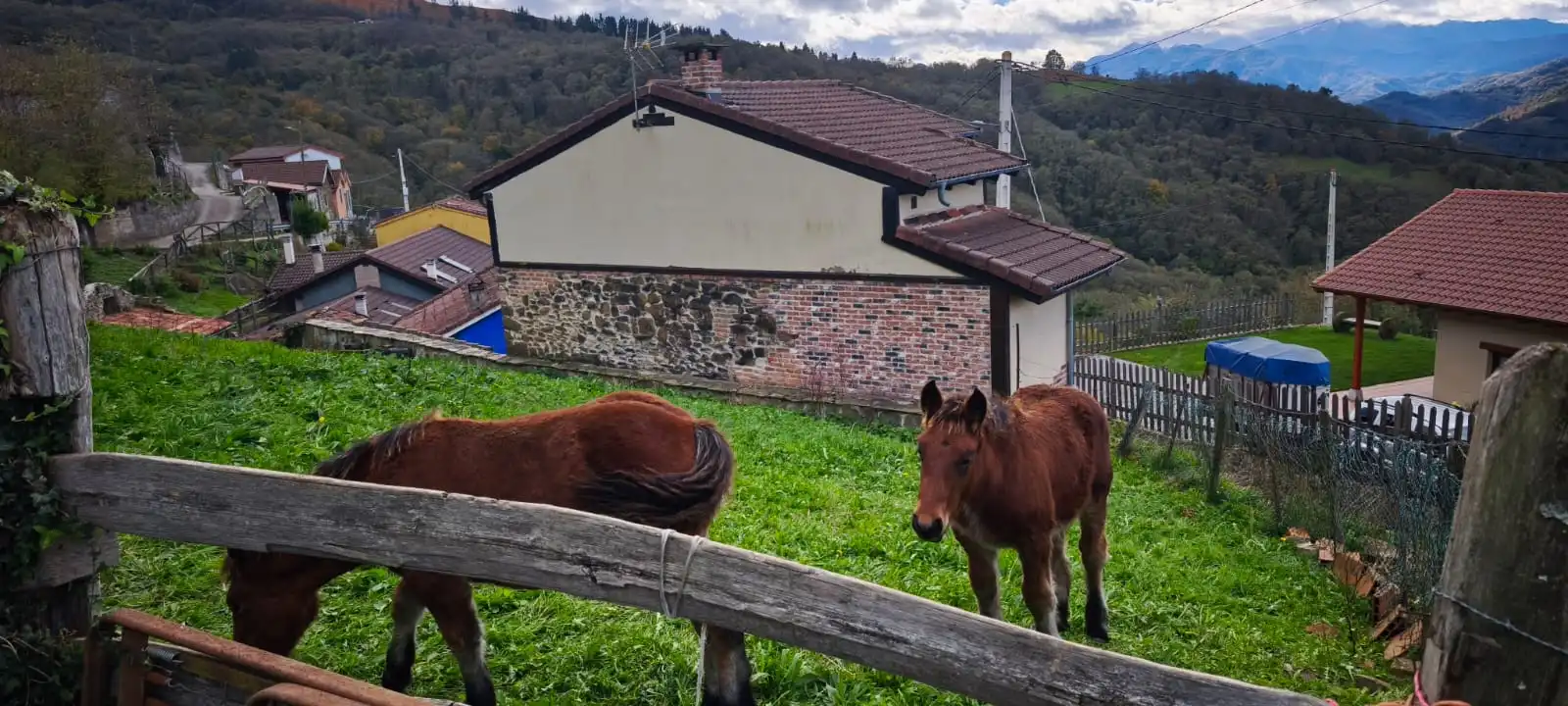 Vista exterior de Casa o xalet en venda en Mieres (Asturias) amb Jardí privat, Terrassa i Traster