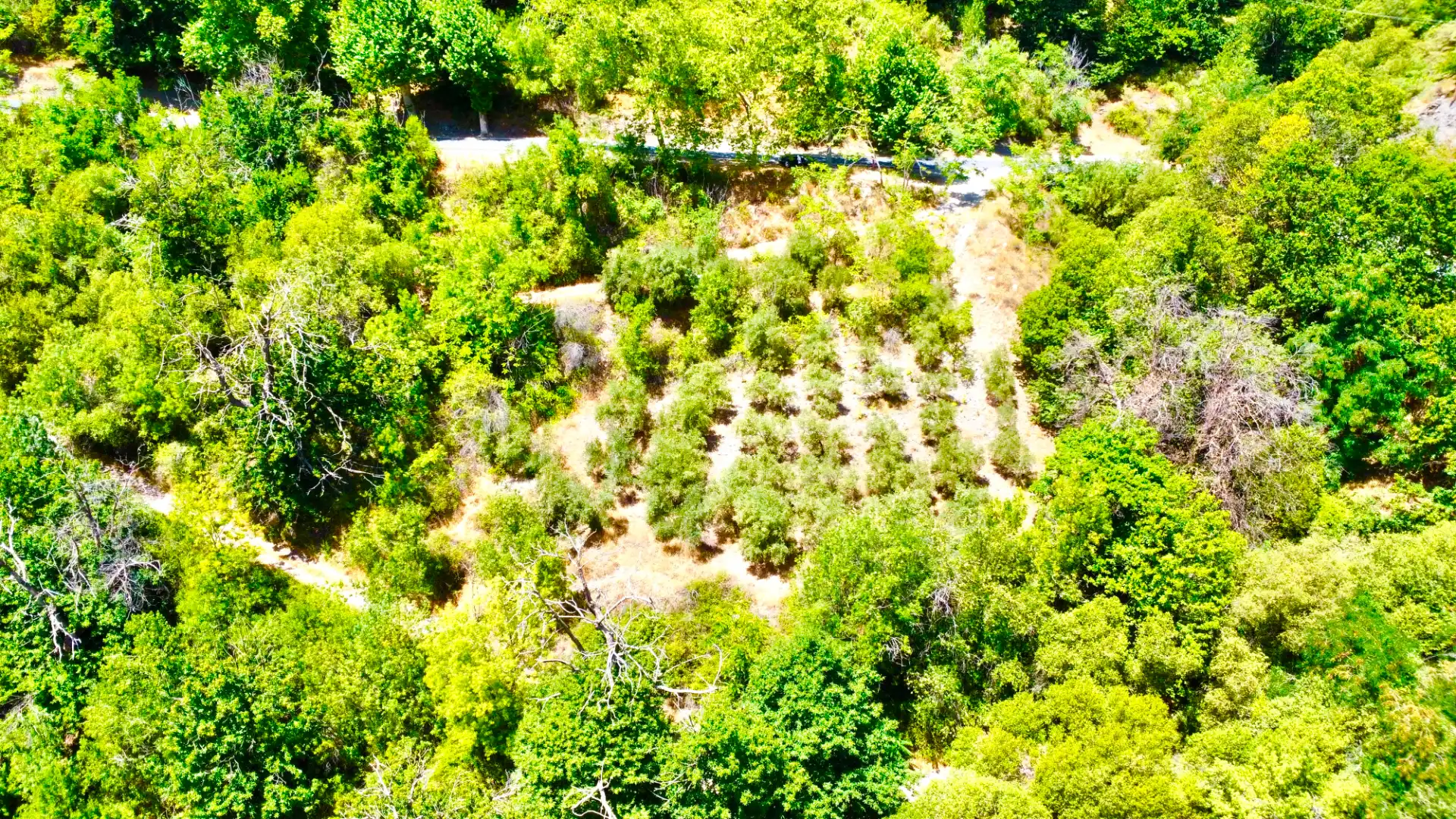 Finca rústica en venta en Alpujarra de la Sierra