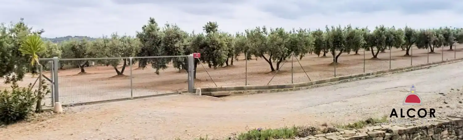 Casa rustica in vendita a San Jorge / Sant Jordi, imagen 6
