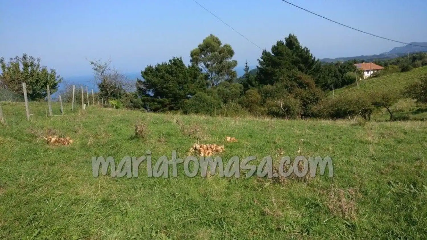 Residencial en venta en Ibarrangelu