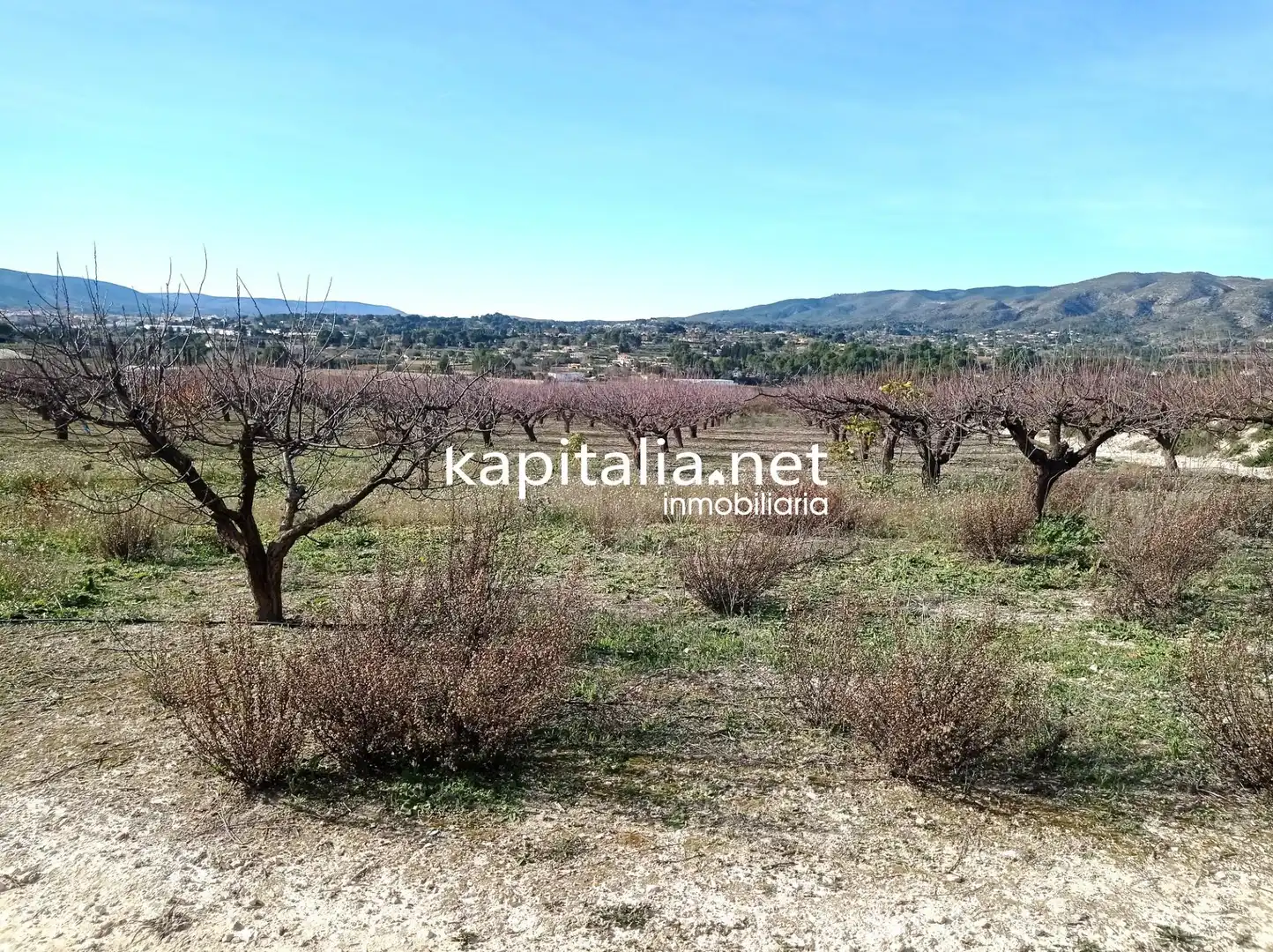 Terreno residenziale in vendita a Agullent, imagen 2