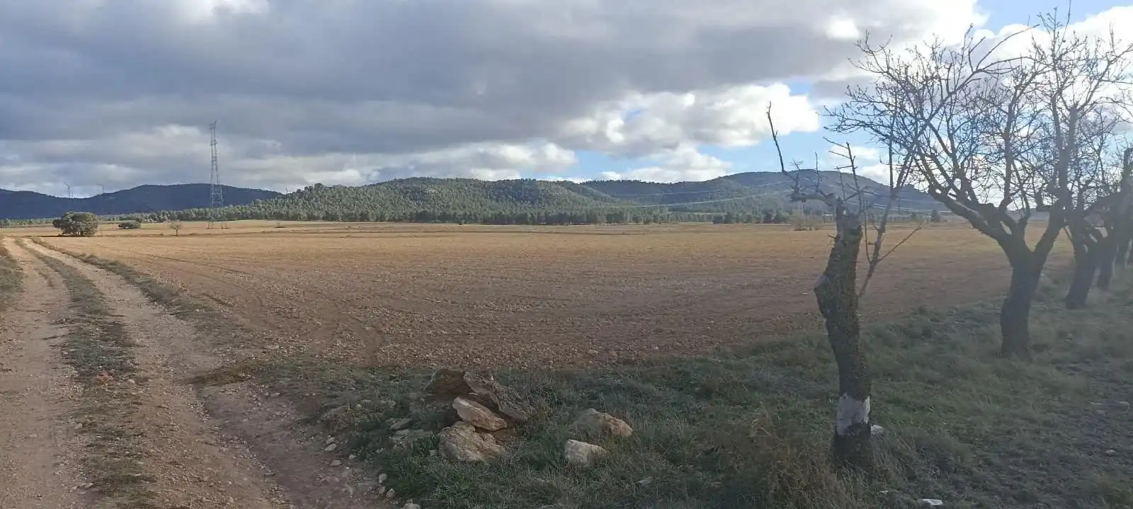 Terreny rústic en venda a Ayora, imagen 13