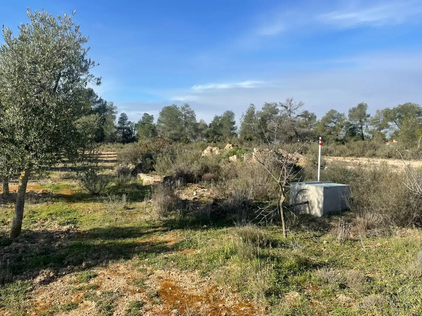 Rural land for sale in Cervià de Les Garrigues, imagen 15