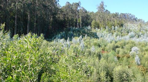 Foto 3 de Terreno en venta en Ramorta de Arriba, Bueu, Pontevedra