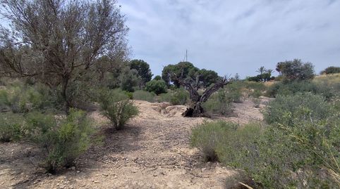 Quieres una parcela para hacer la casa de tus sueños? Oportunidad Única en La Vila Joiosa!, imatge 3