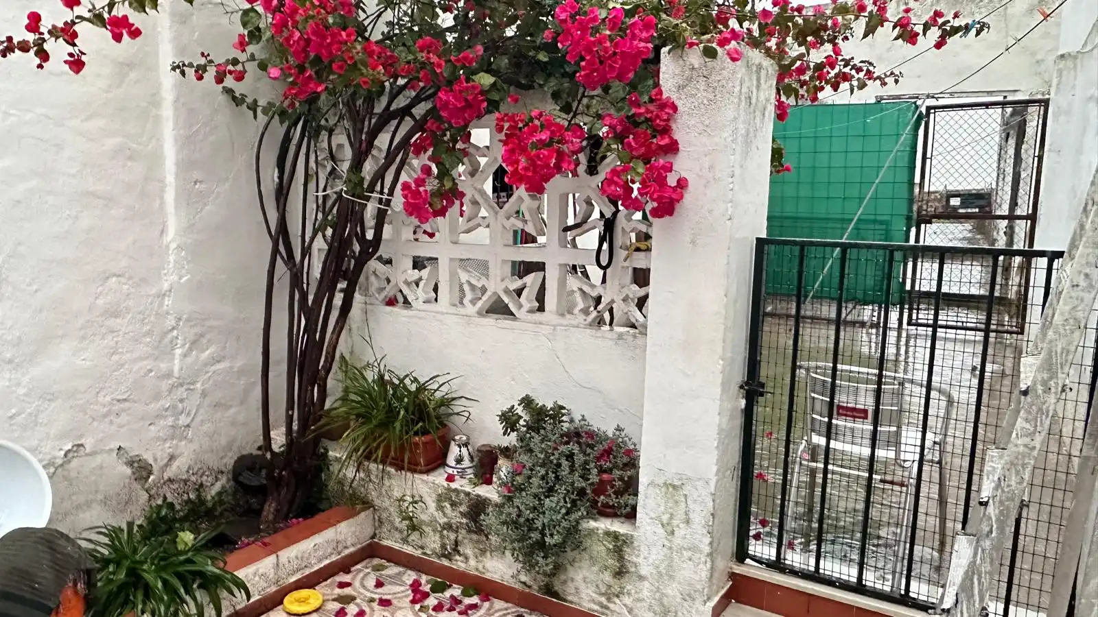 Detached homes for sale in Aznalcázar