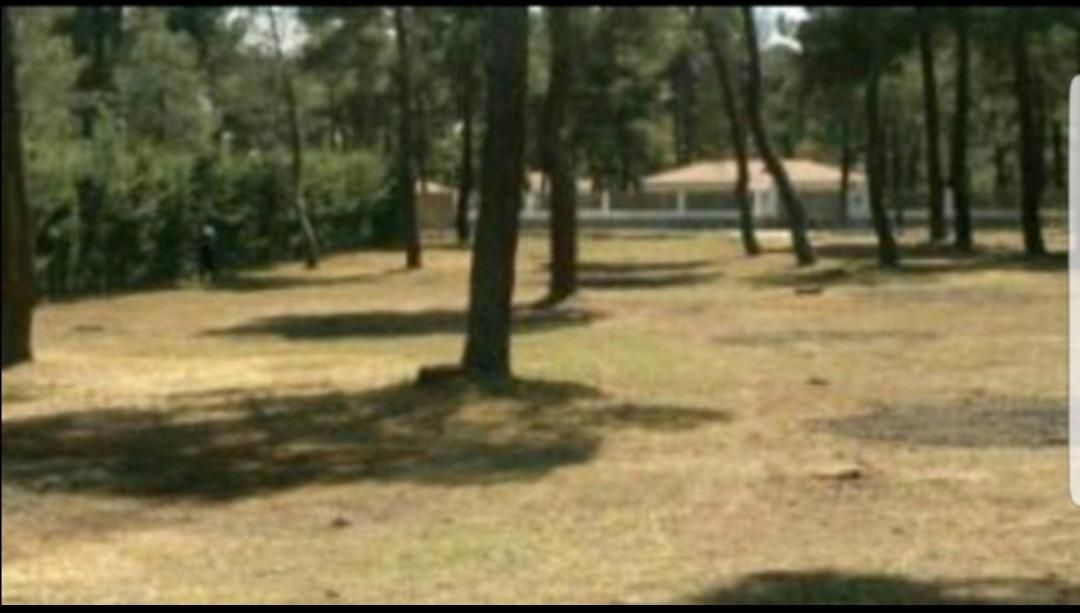 Industrial land for sale in Marugán