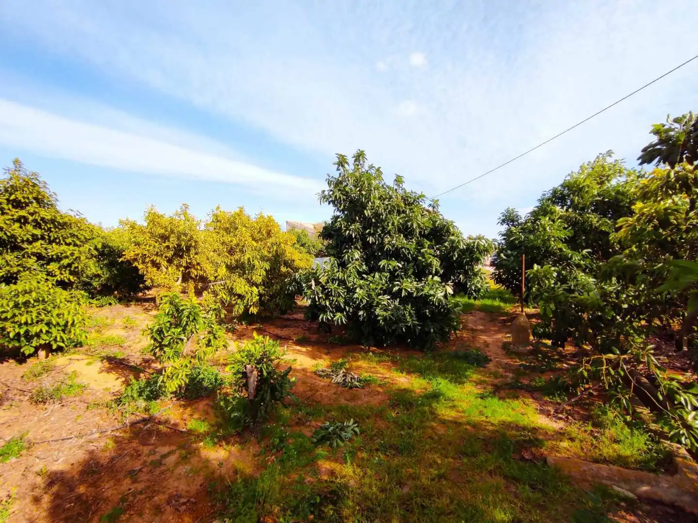 Lands and plots for sale in Corbera