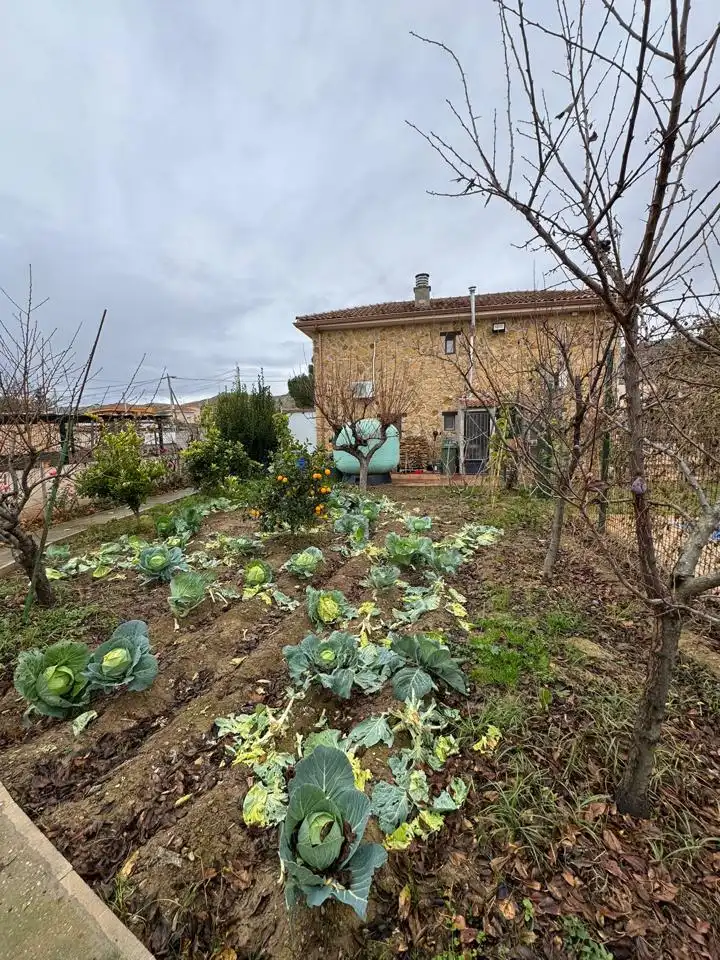 Jardí de Casa o xalet en venda en Cadrete amb Aire condicionat, Calefacció i Jardí privat