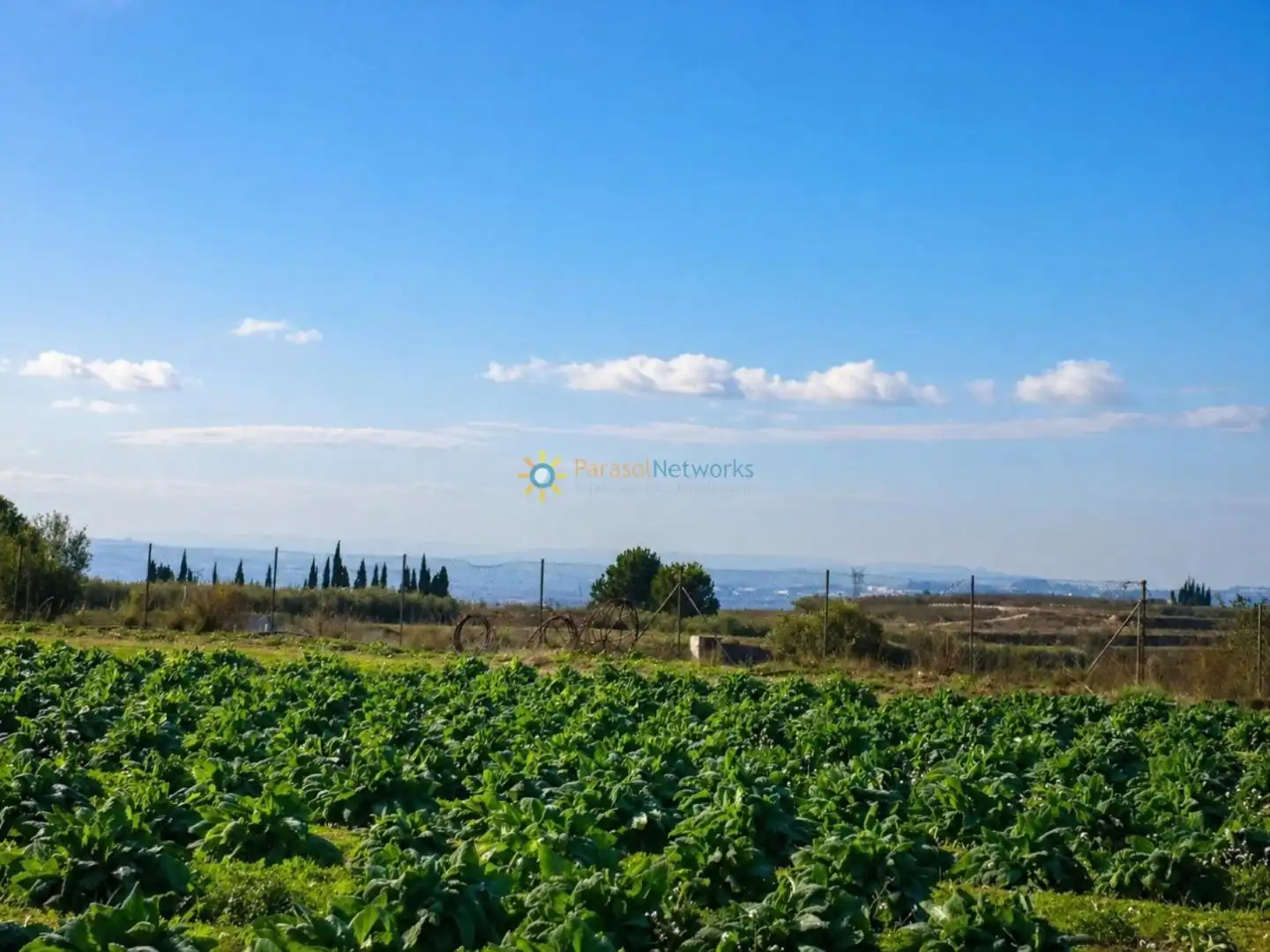 Finca rústica en venta en Benigànim con Terraza y Trastero