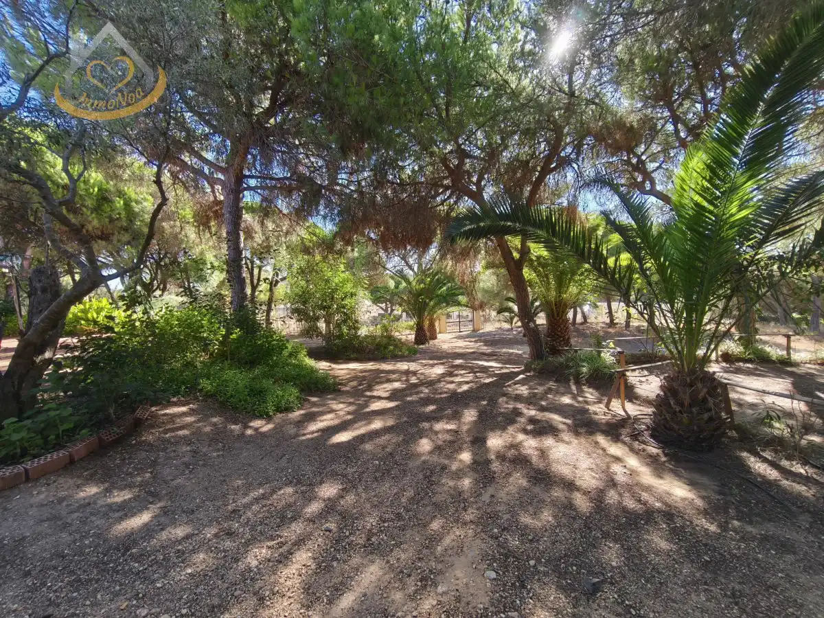 Garten von Grundstücke zum Verkauf in Isla Cristina