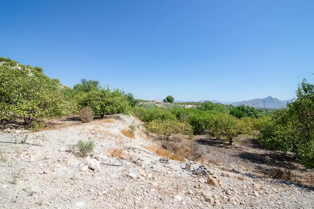 Lands and plots for sale in Paraje del Tale, imagen 12