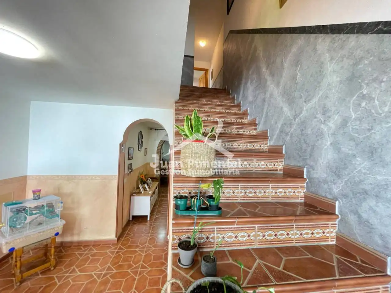 Detached homes for rent in Calle Casares, 1, Centro