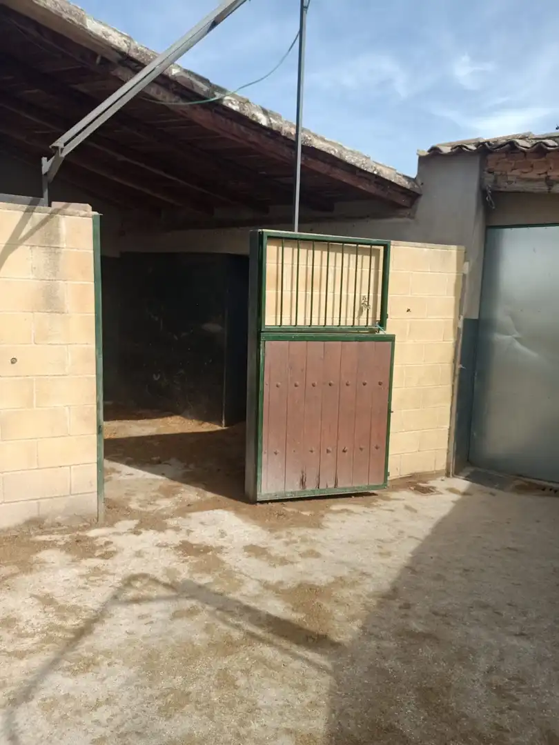 Vista exterior de Residencial en venda en Tórtola de Henares