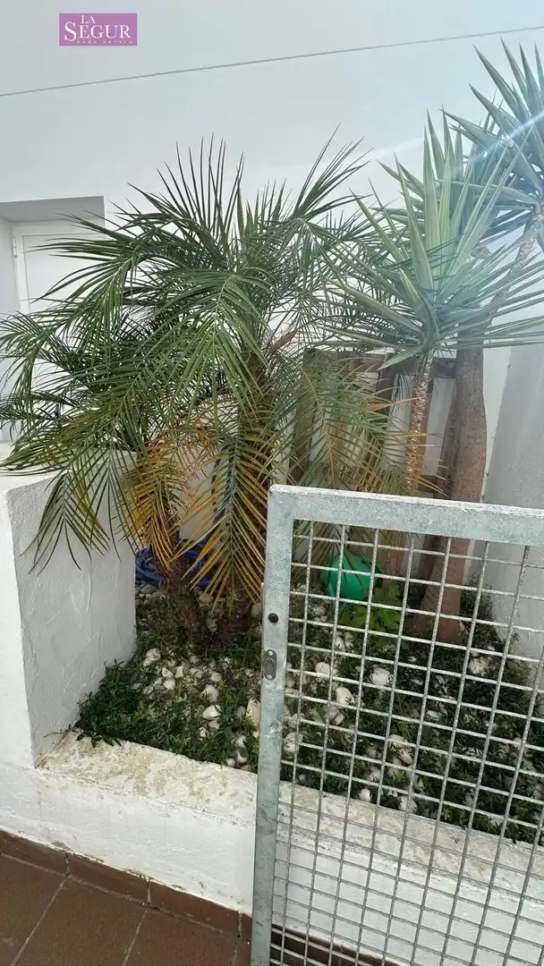 Terraced house with pool for sale in Conil, imagen 38