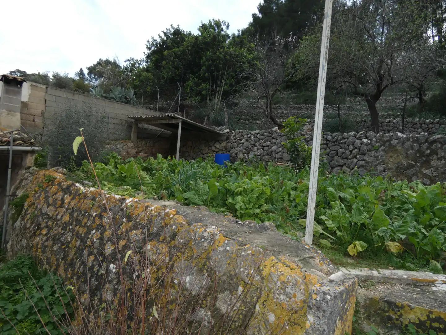 Haus mit Garten zum Verkauf in Selva, imagen 22