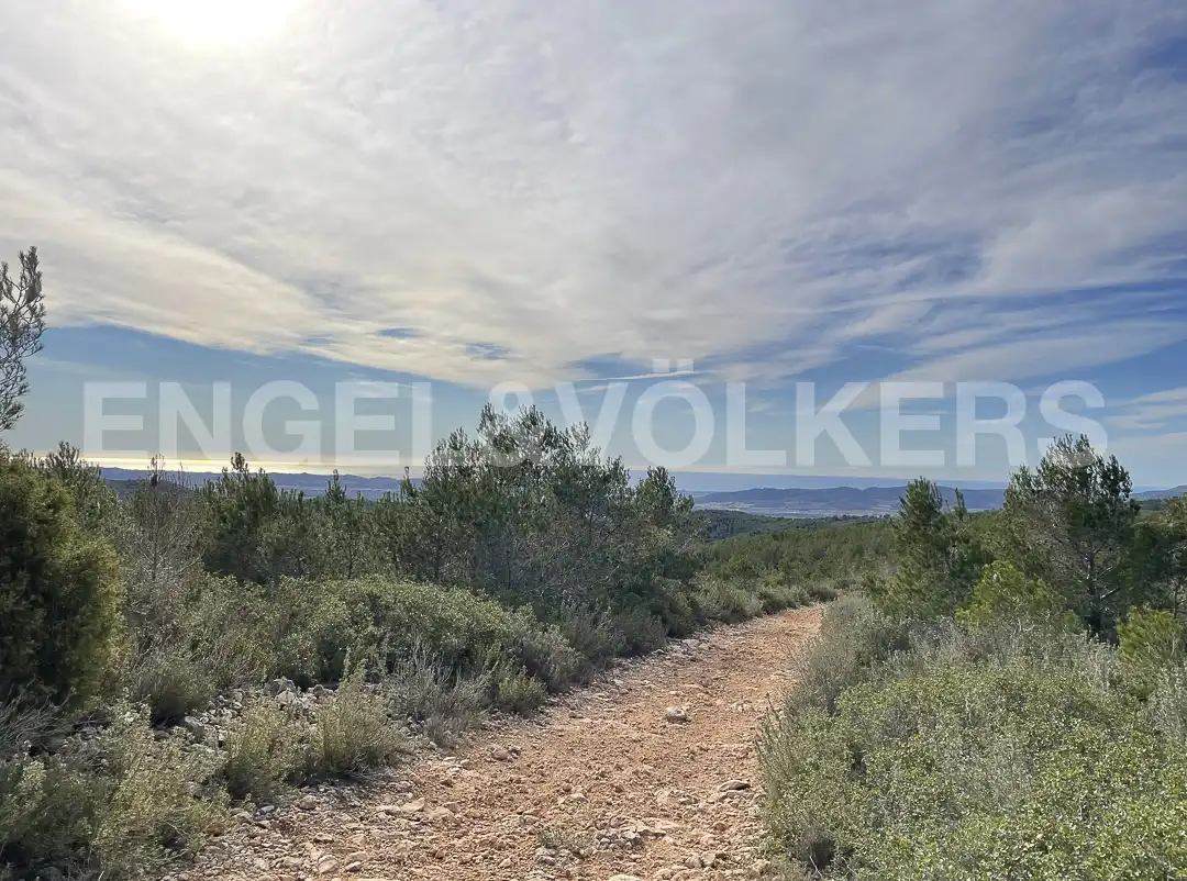 Country homes for sale in El Montmell  with Heating