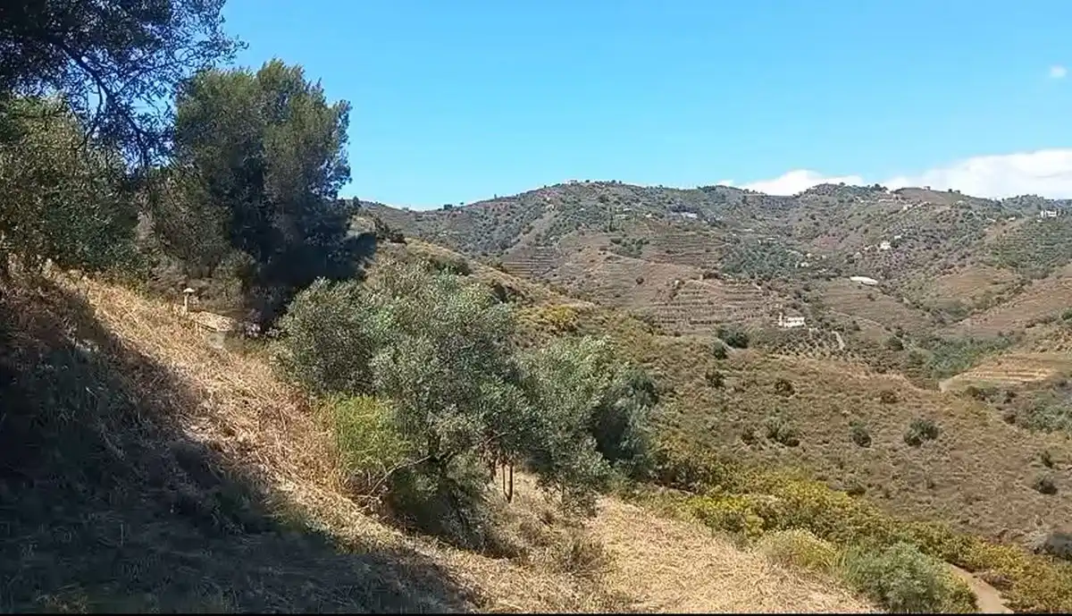 Terreni e lotti in vendita a C. Pontil, imagen 3