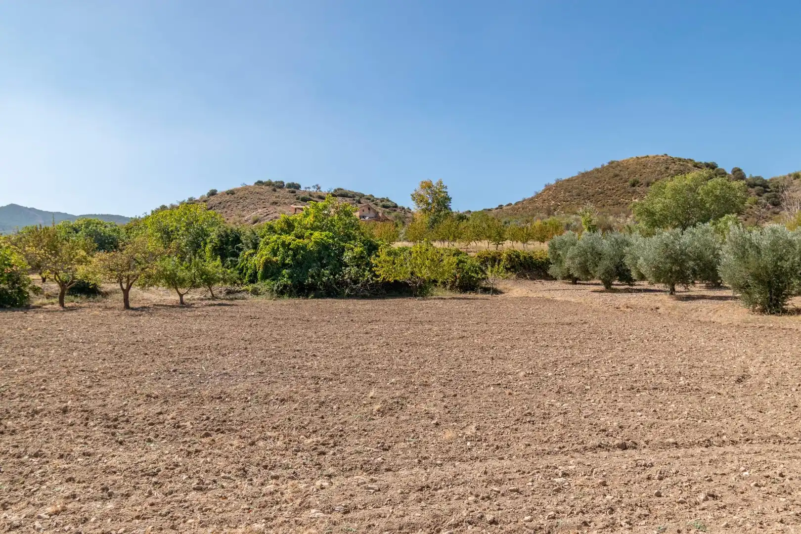 Finca rústica en venta en Vereda morollon, La Peza