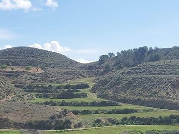 Terreni e lotti in vendita a Las Pala