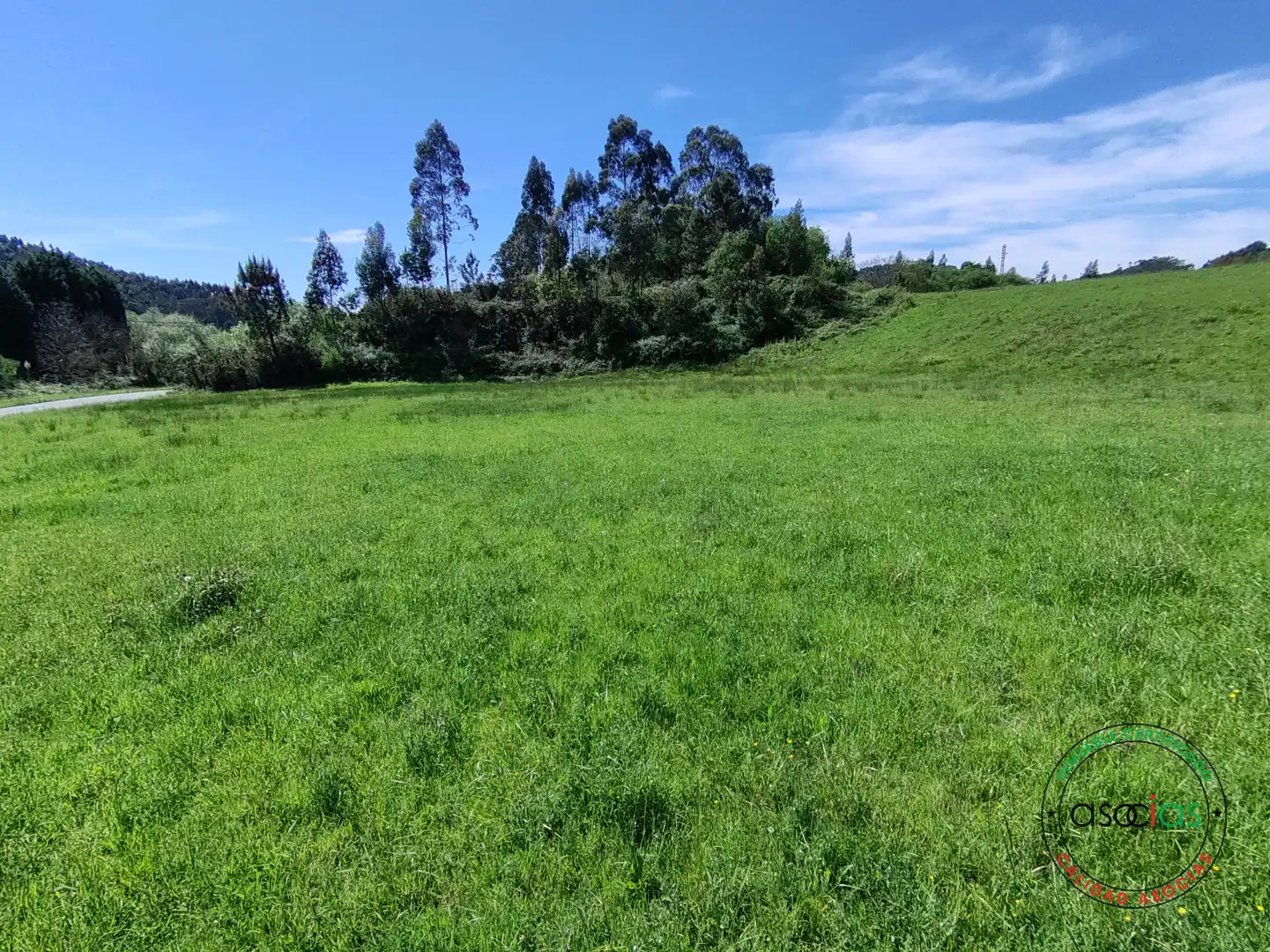 Terreno rustico in vendita a Gijón - CR DE GALLINAL 203, imagen 10