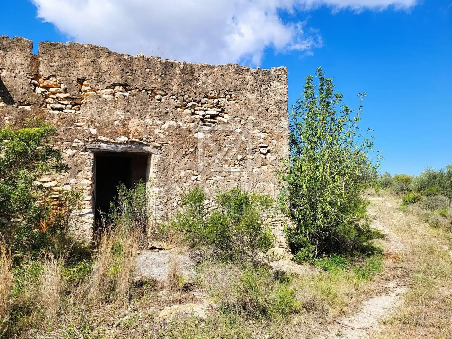 Terreno rustico in vendita a Traiguera, imagen 5