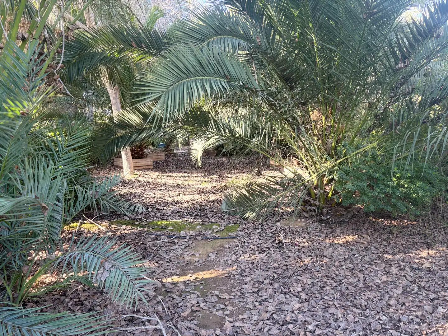 Lands and plots for sale in Abanilla, imagen 11