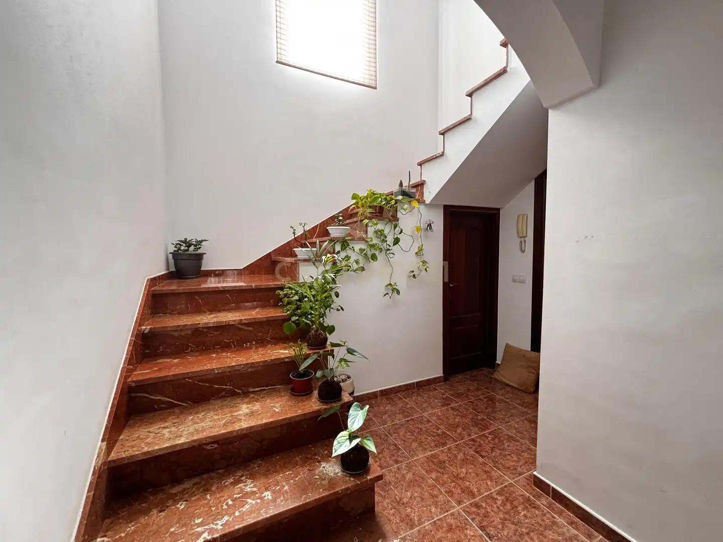Casa o chalet en venta en Arona con Jardín privado