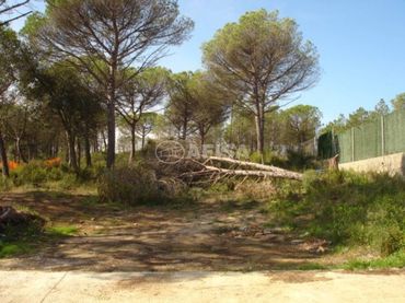 Terreno residencial en venta en Aiguaviva Parc