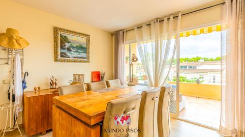 Photo 4 of Duplex for sale in Maioris-Puig de Ros, Illes Balears