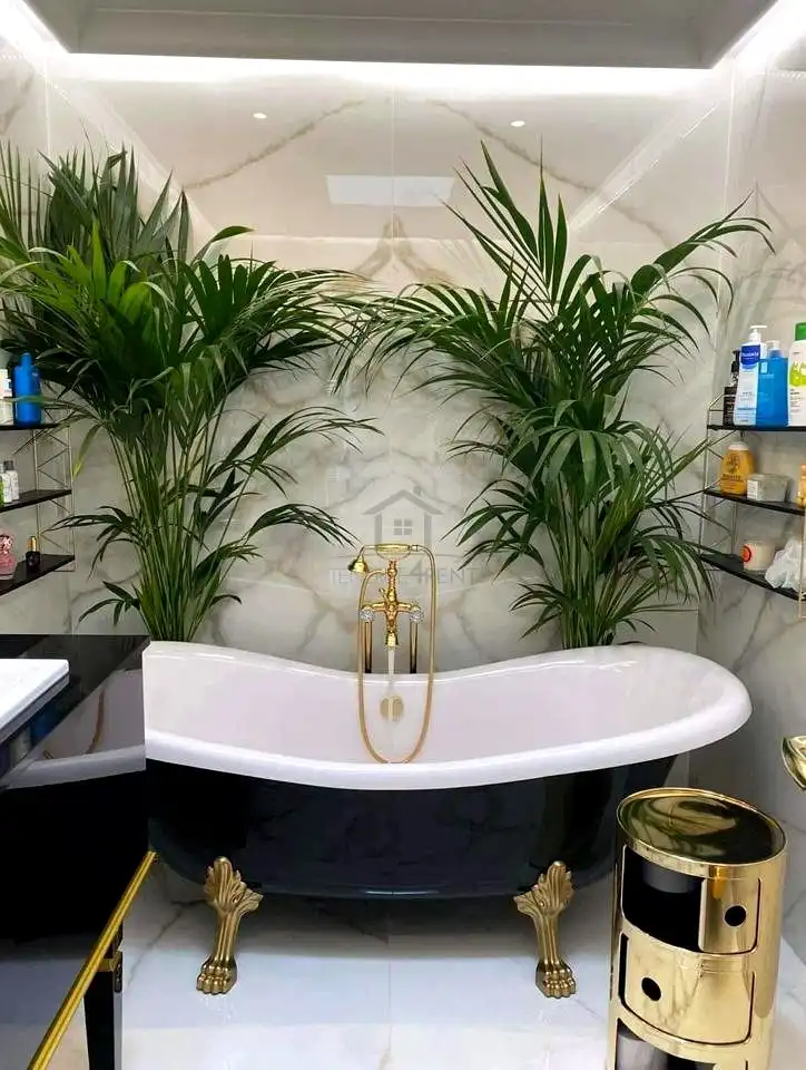 Maison avec piscine à vendre à Dublin, imagen 11