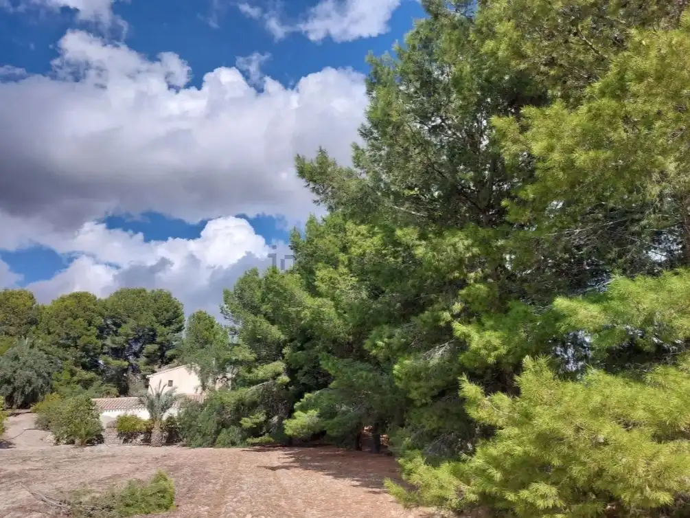Finca rústica en venta en Partaloa, Almería