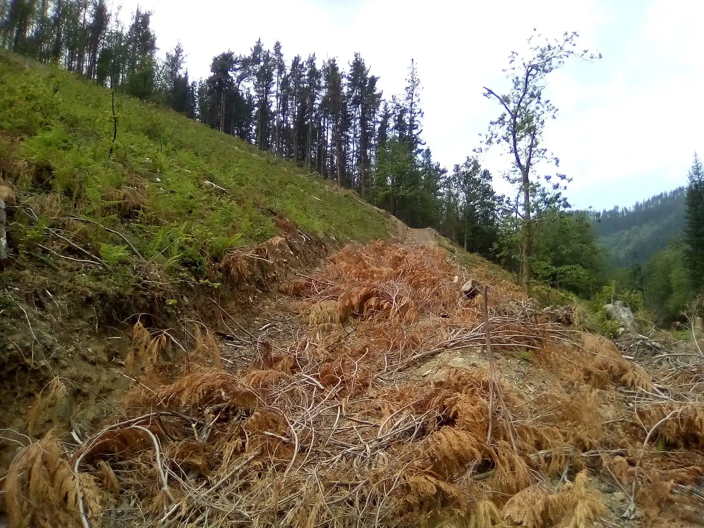 Land for sale in Aulesti