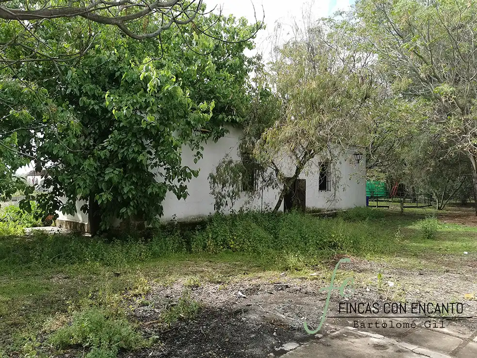Finca rústica en venda en Marchena amb Aire condicionat, Terrassa i Piscina