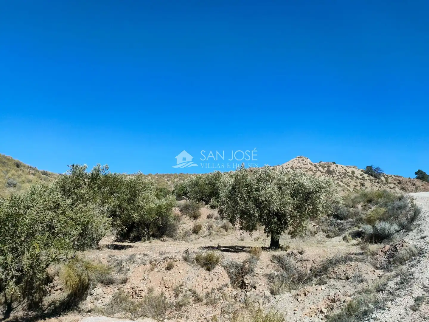 Lands and plots for sale in Abanilla, imagen 16